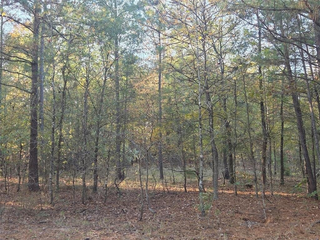 7 acres in Red River County - photo 5
