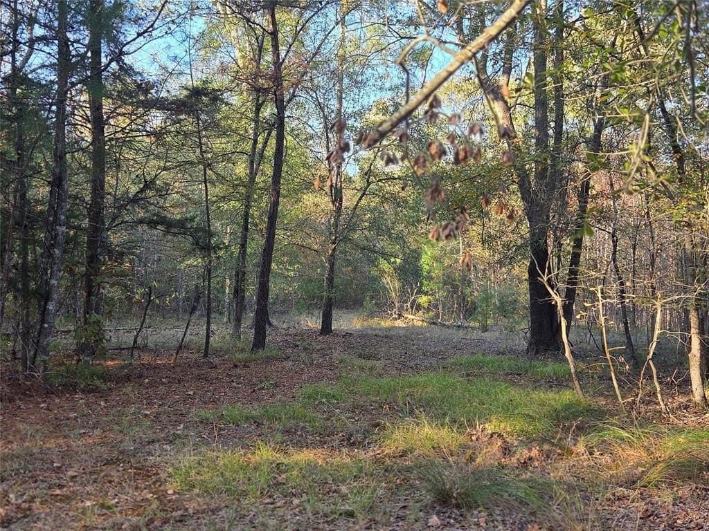 7 acres in Red River County - photo 3