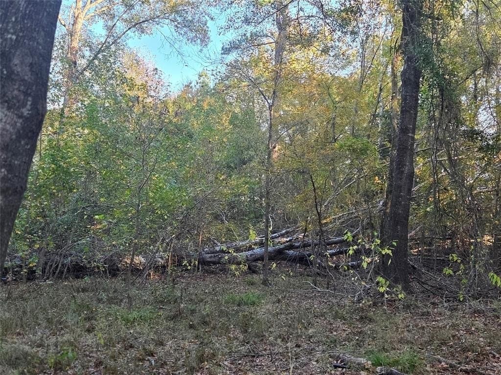 7 acres in Red River County - photo 10