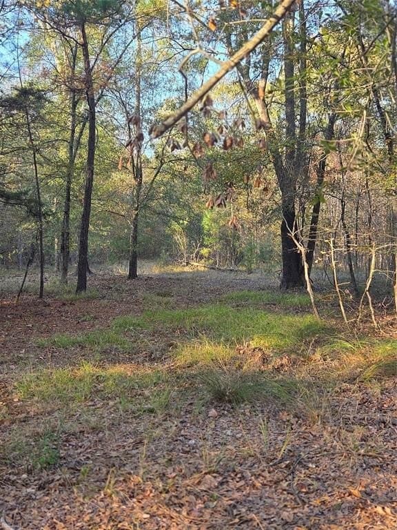 7 acres in Red River County - photo 4