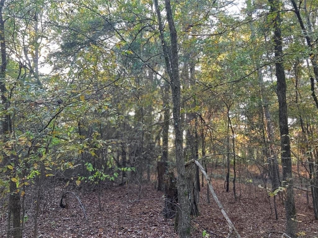 7 acres in Red River County - photo 14