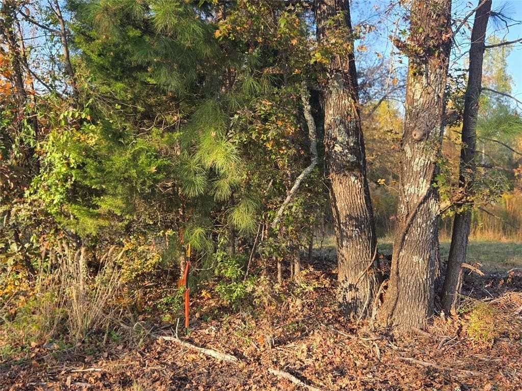 7 acres in Red River County - photo 17