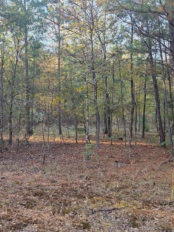 7 acres in Red River County - photo 6