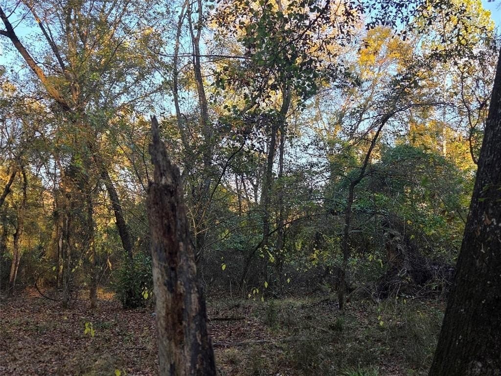 7 acres in Red River County - photo 11