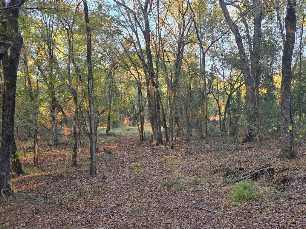 7 acres in Red River County - photo 12