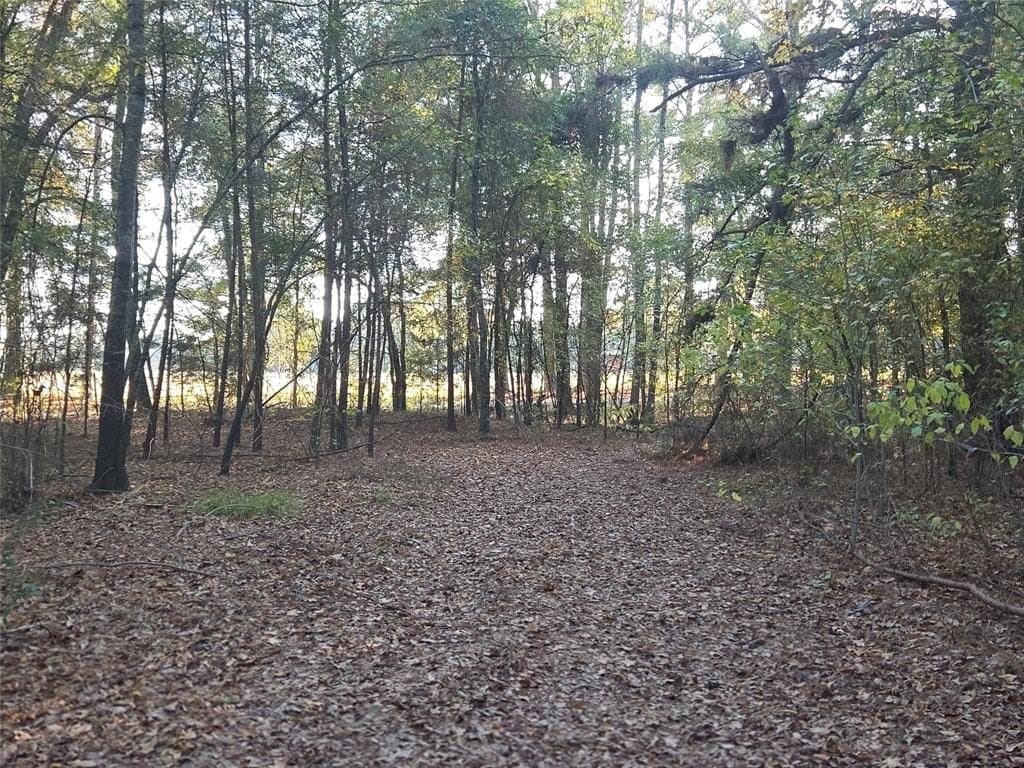 7 acres in Red River County - photo 15