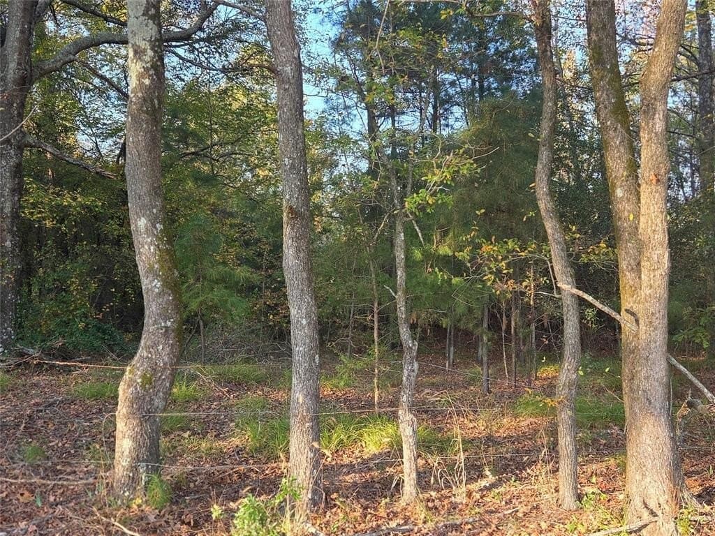 7 acres in Red River County - photo 16