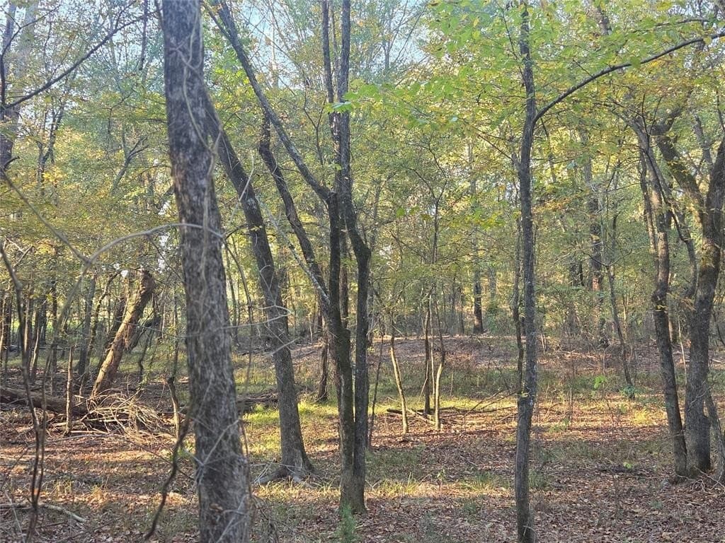 7 acres in Red River County - photo 13