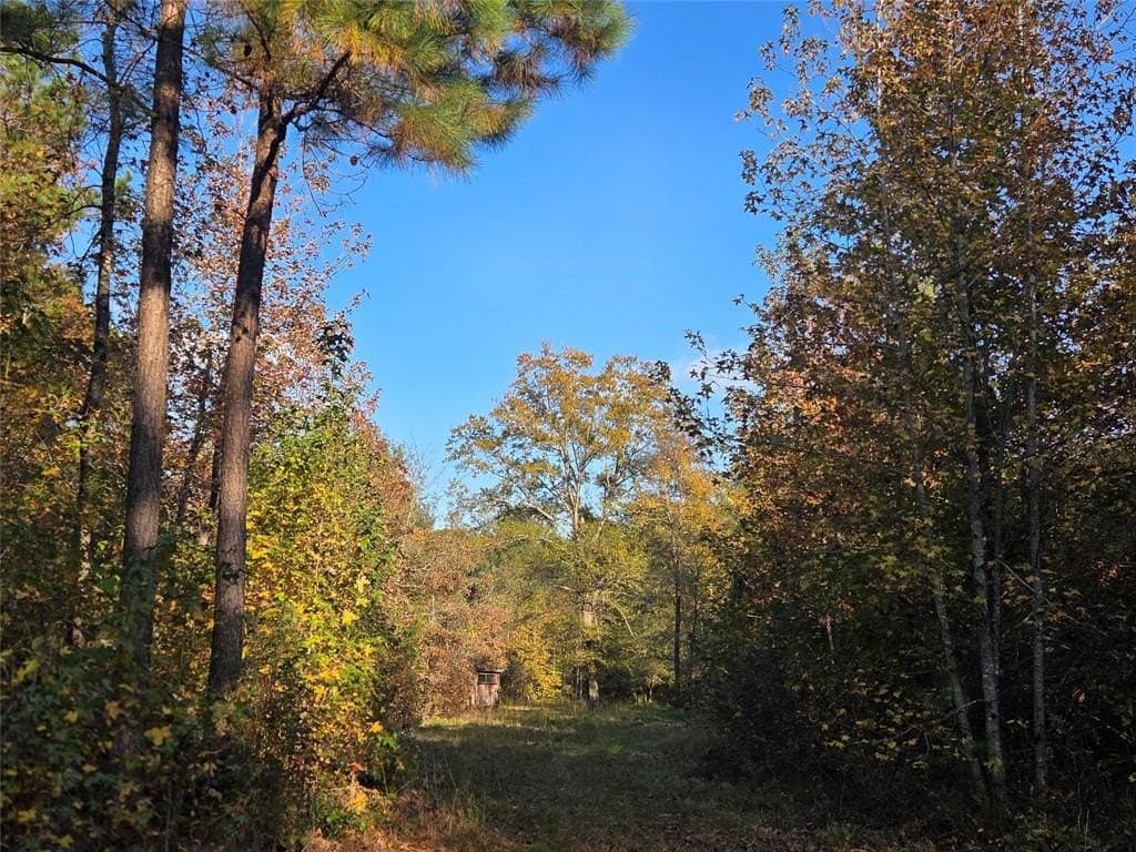 7 acres in Red River County - photo 2