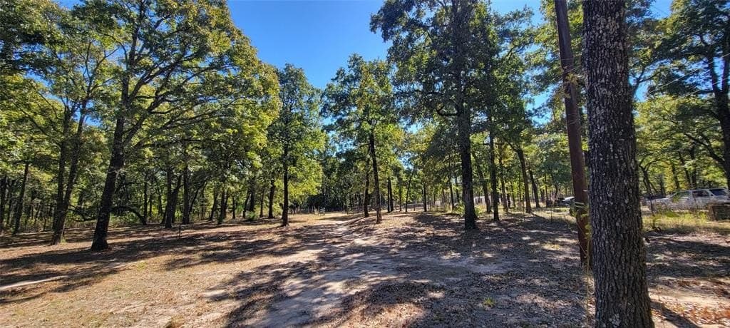3 acres in Hunt County - photo 8