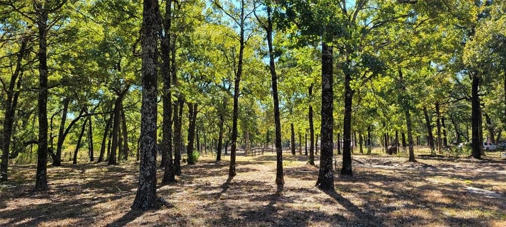 3 acres in Hunt County - photo 7