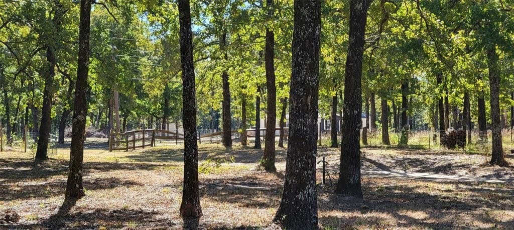 3 acres in Hunt County - photo 9