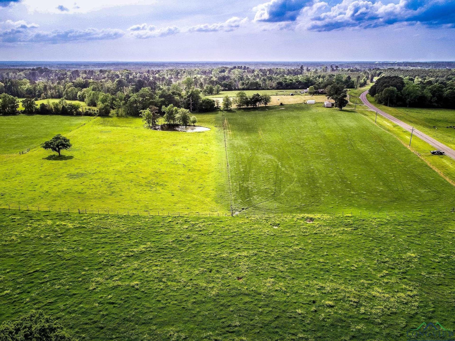 137 acres in Panola County - photo 6