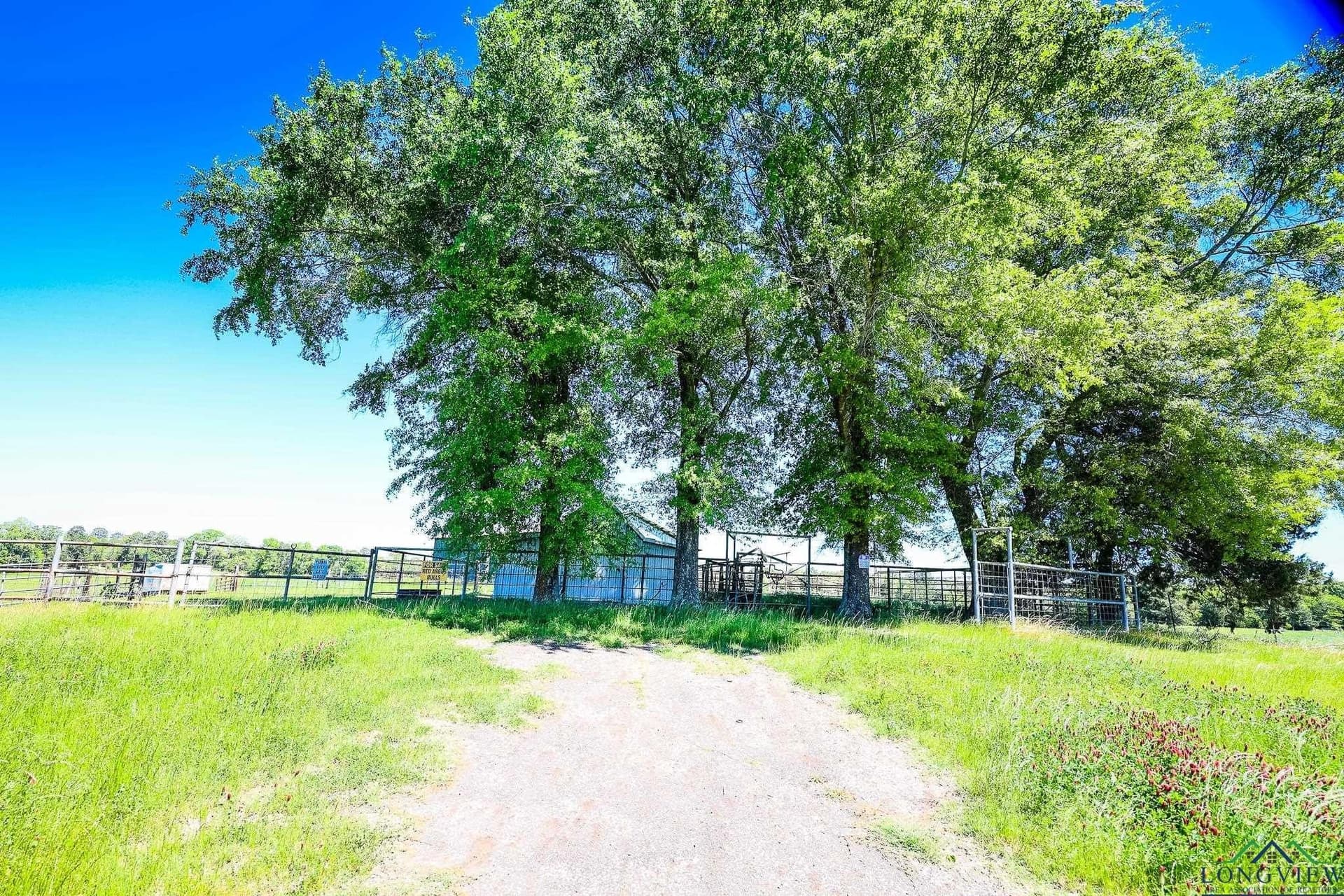 137 acres in Panola County - photo 3