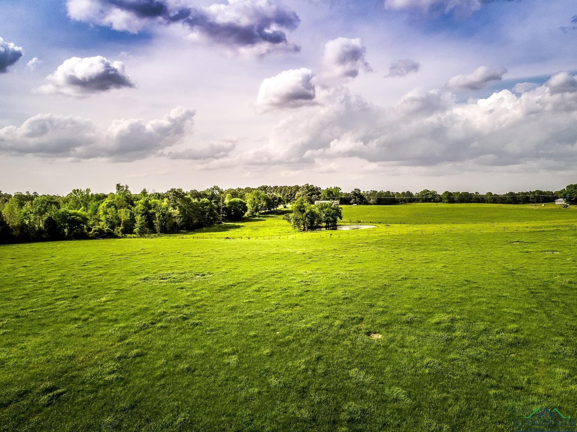 137 acres in Panola County - photo 12