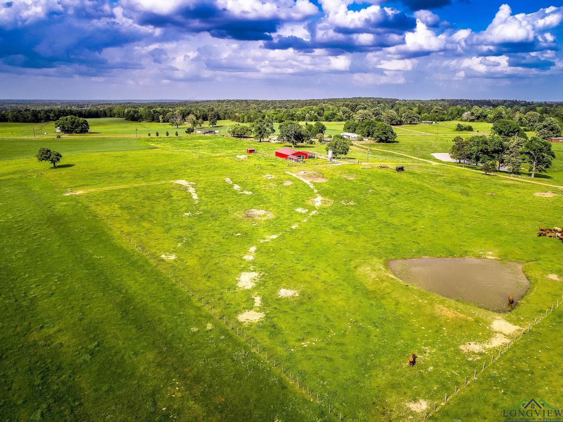 137 acres in Panola County - photo 11
