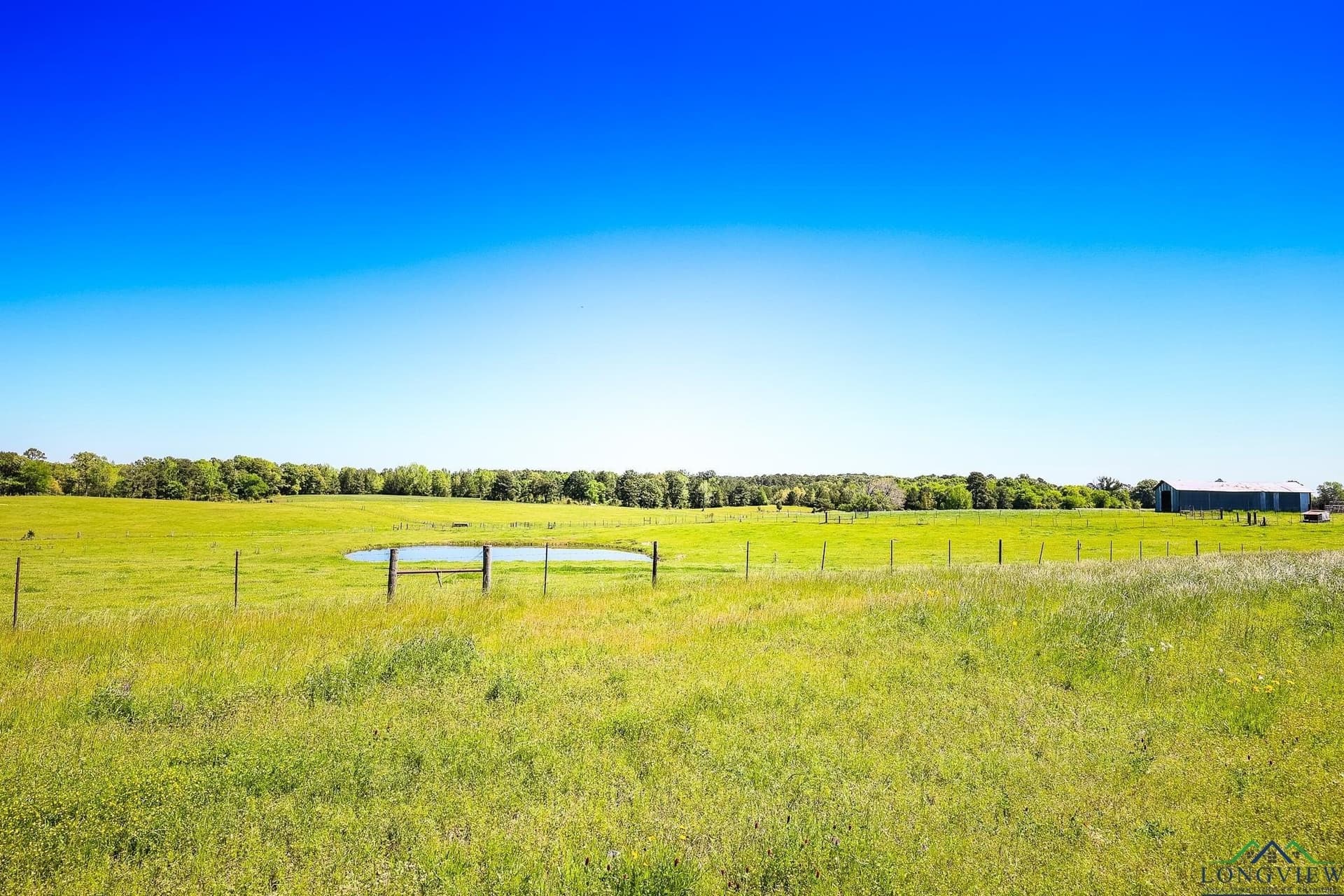 137 acres in Panola County - photo 2