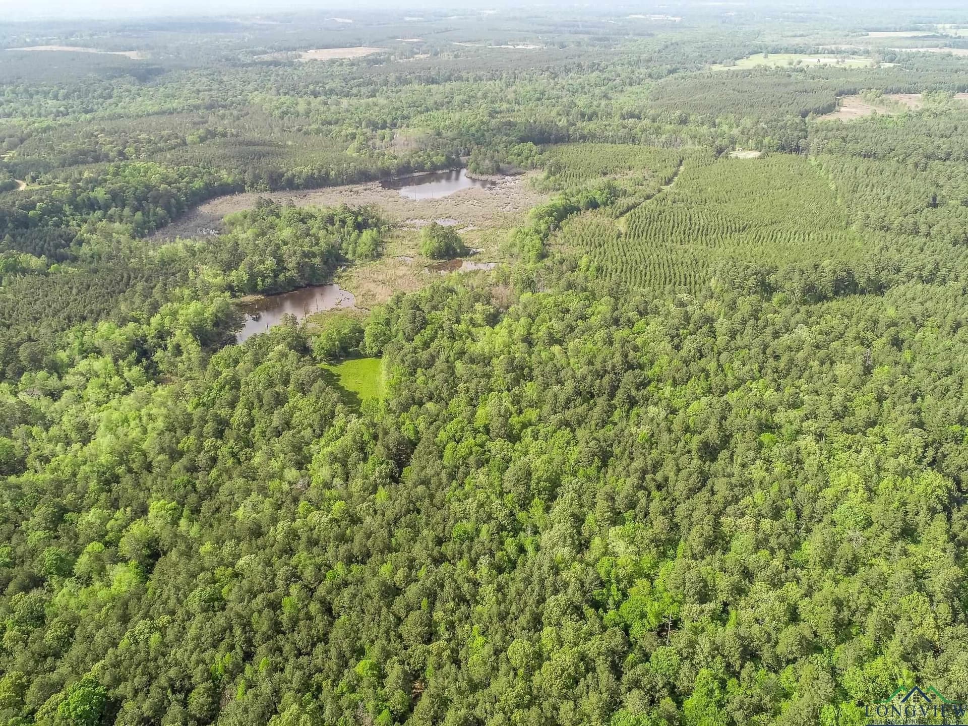 137 acres in Panola County - photo 5