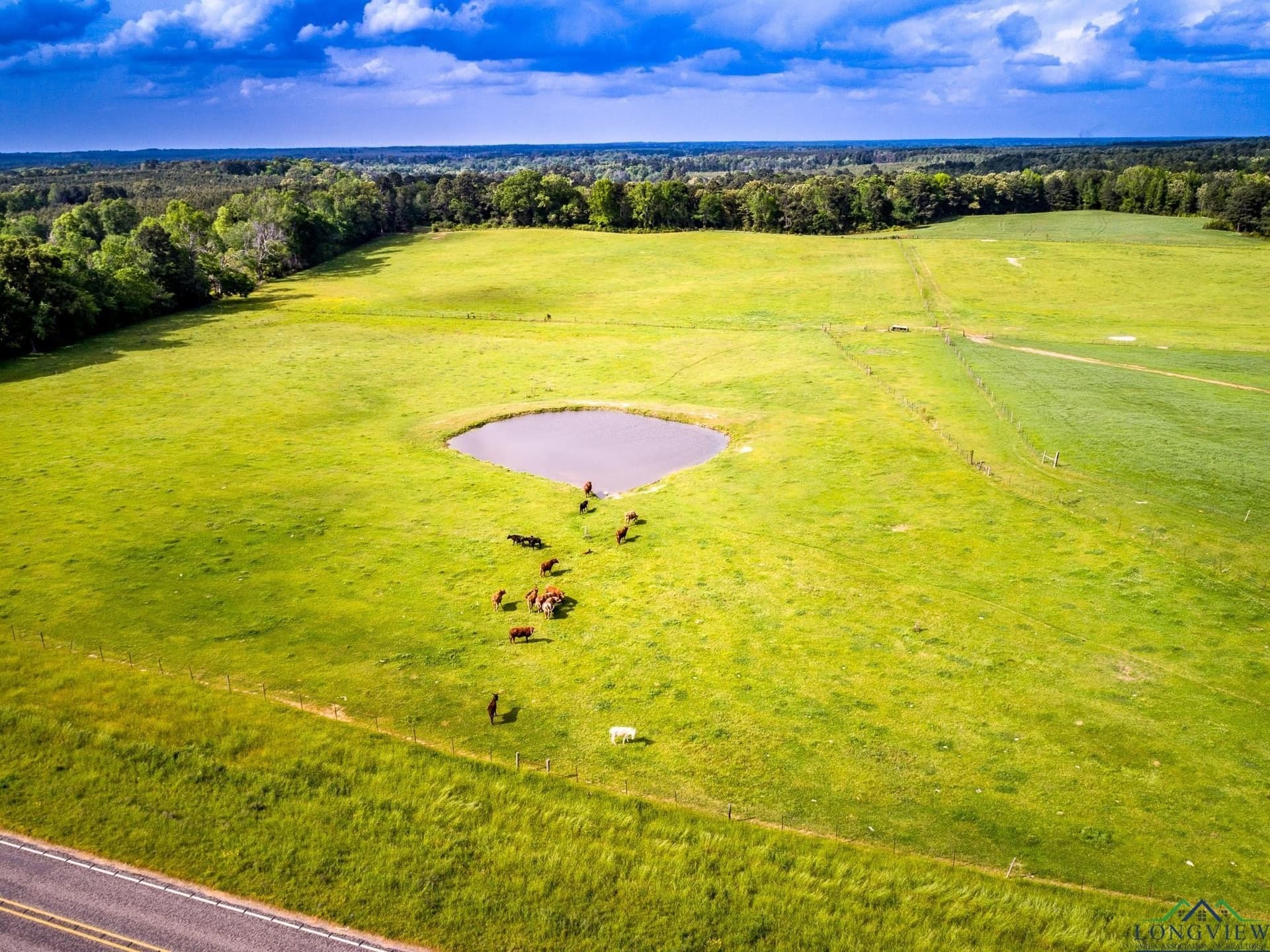 137 acres in Panola County - photo 14