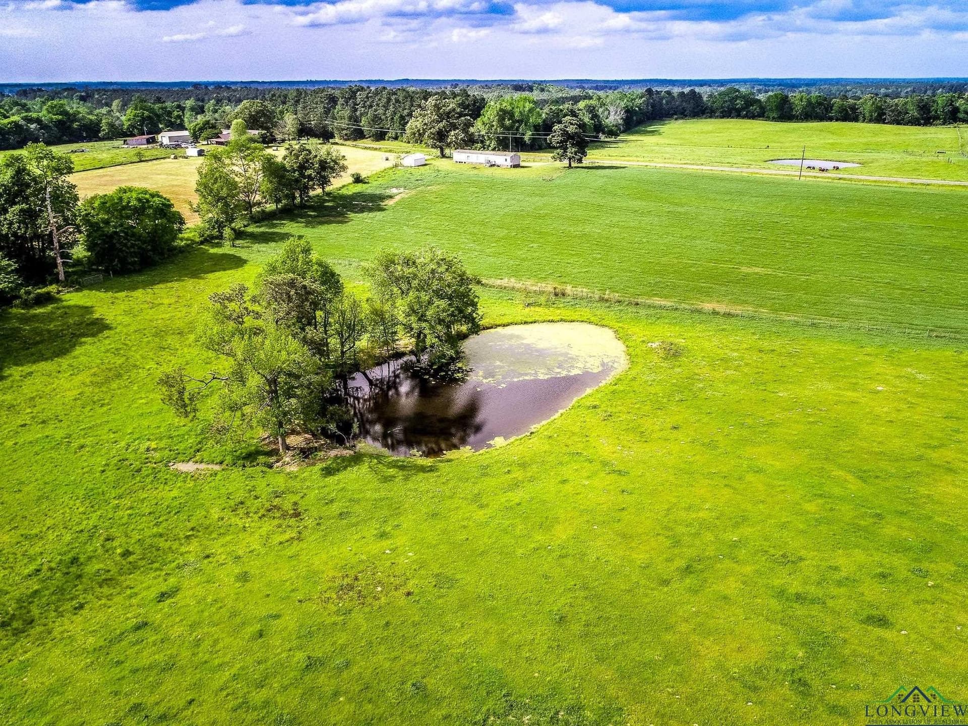 137 acres in Panola County - photo 13
