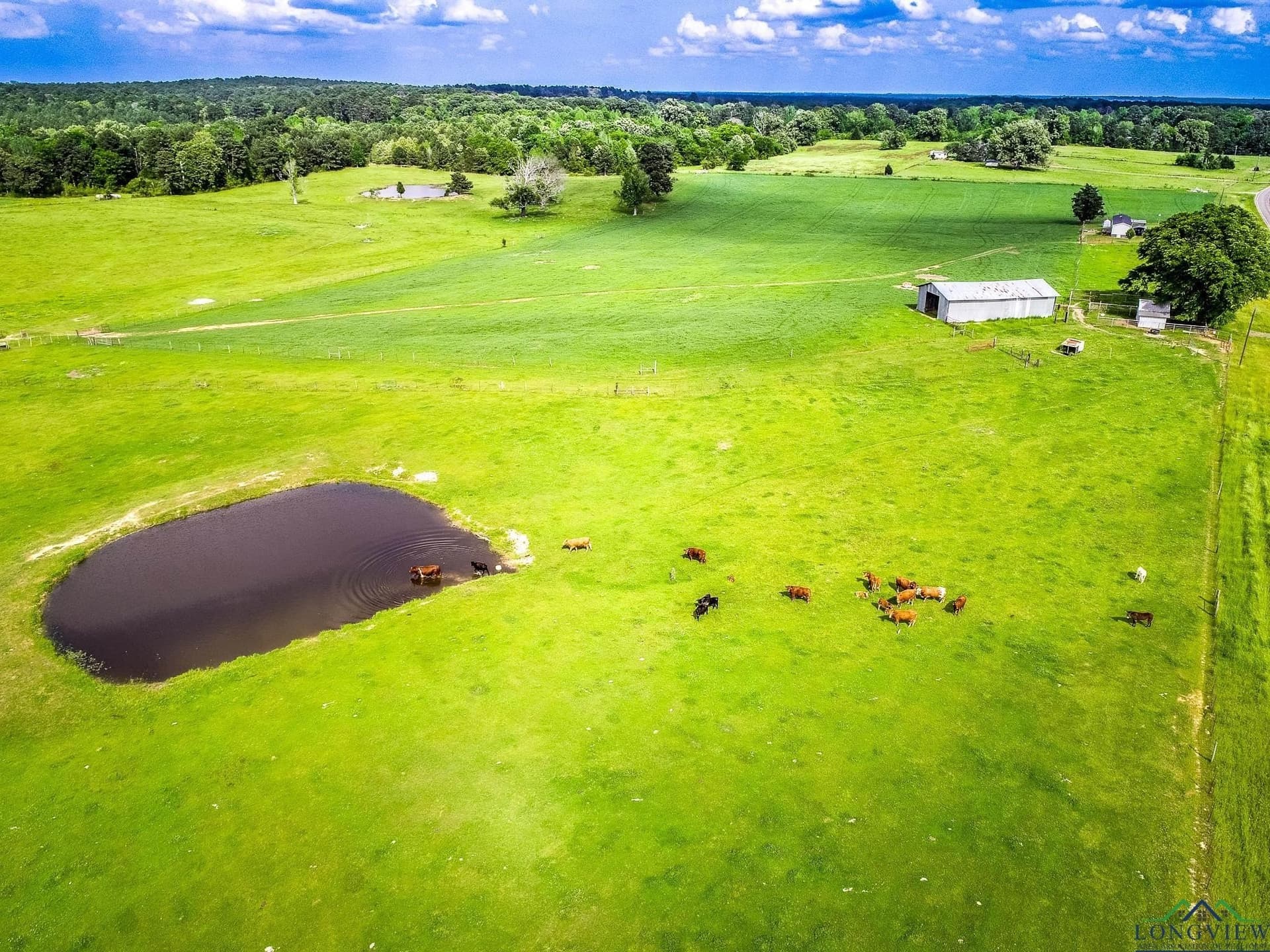 137 acres in Panola County - photo 15