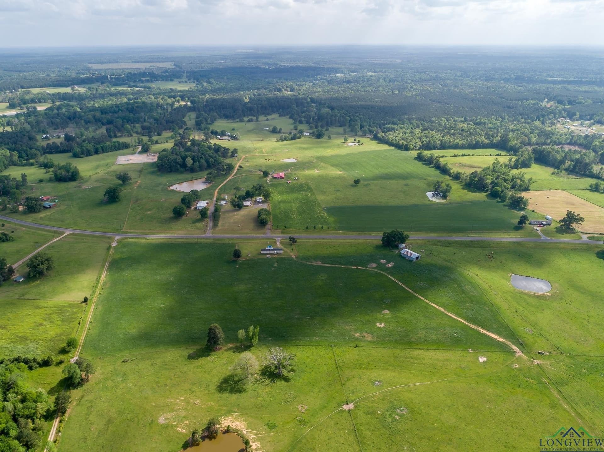 137 acres in Panola County - photo 4