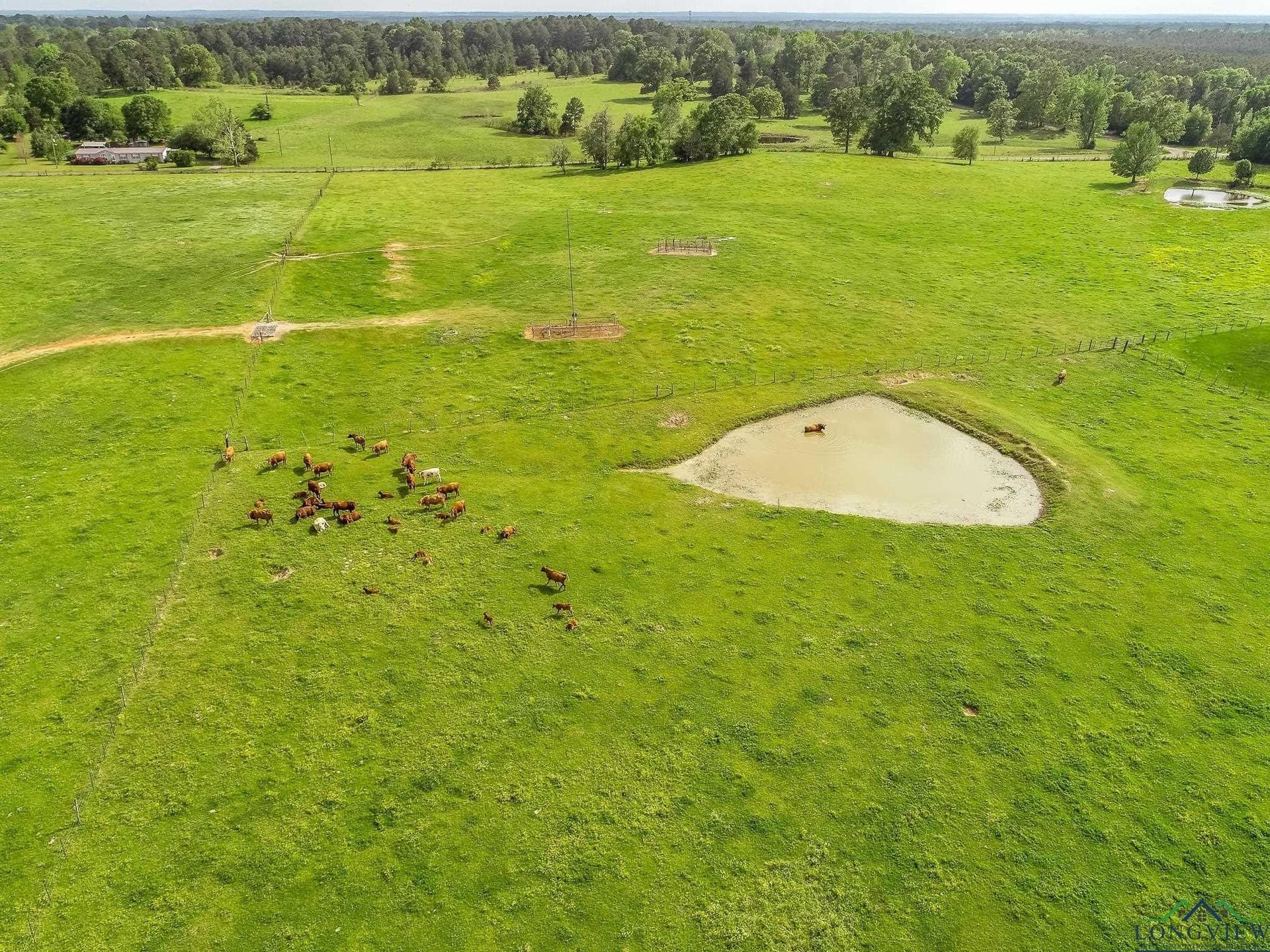 137 acres in Panola County - photo 7
