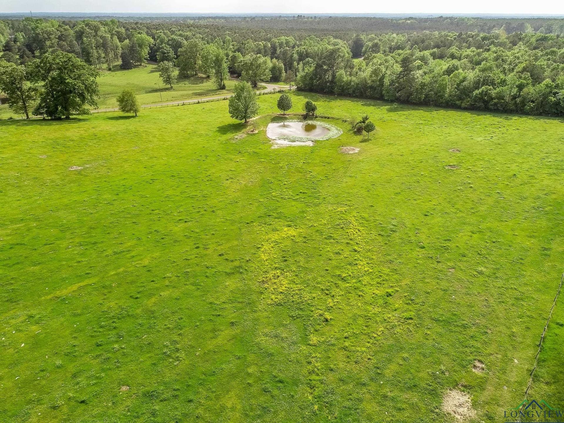 137 acres in Panola County - photo 9
