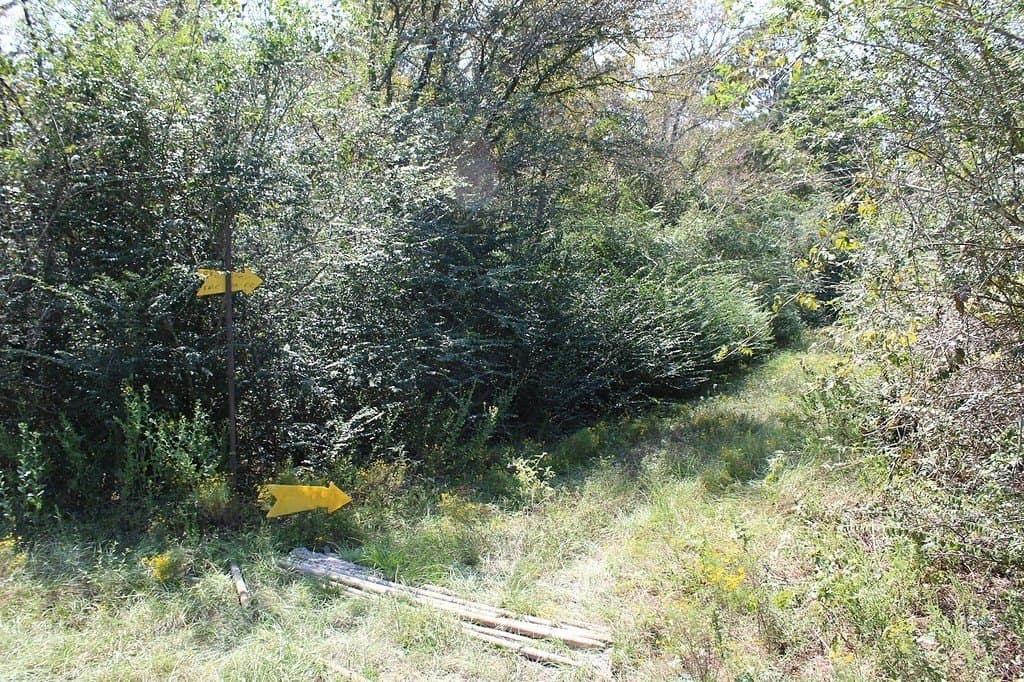 0.29 acres in Waller County - photo 3