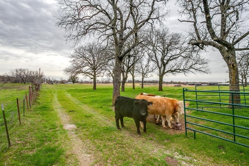 21.16 acres in Parker County - photo 8