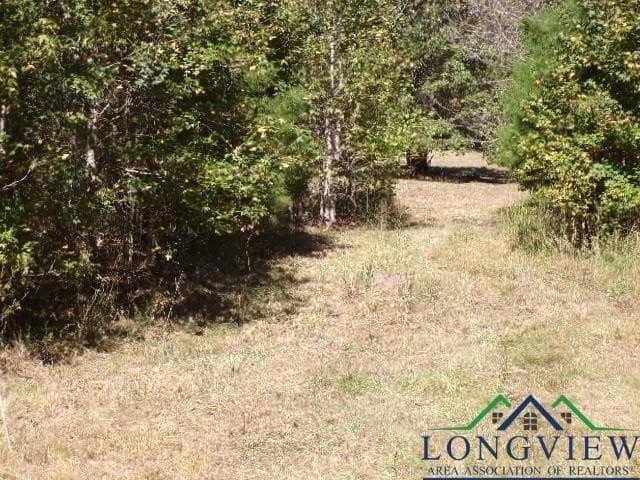 13.97 acres in Marion County - photo 17