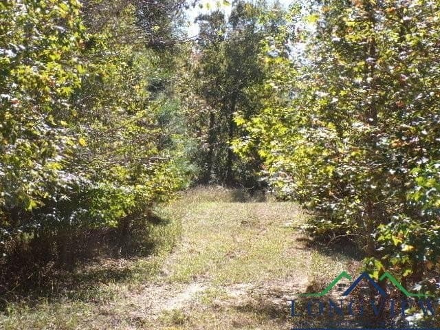 13.97 acres in Marion County - photo 15