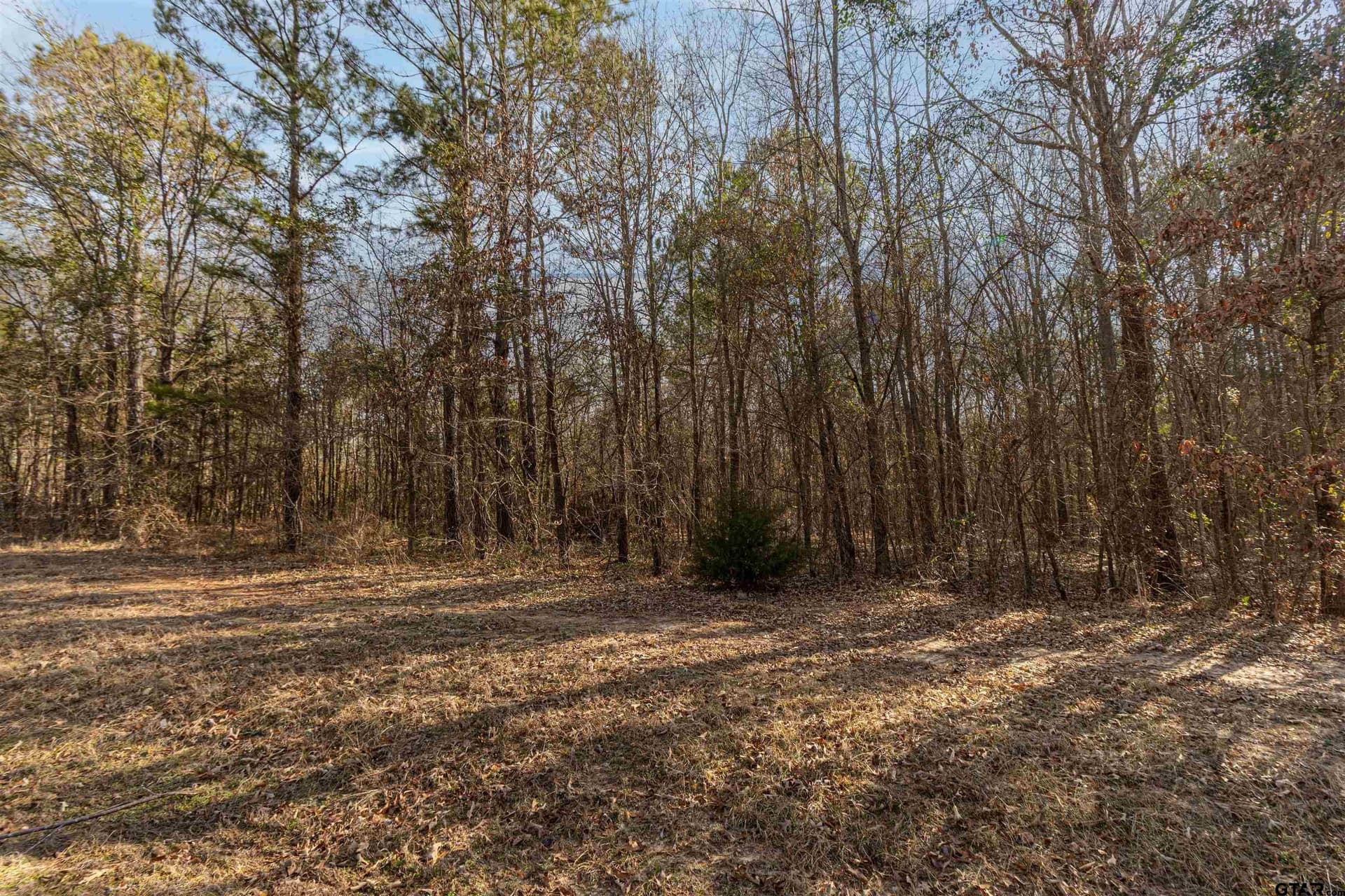 18.69 acres in Smith County - photo 2