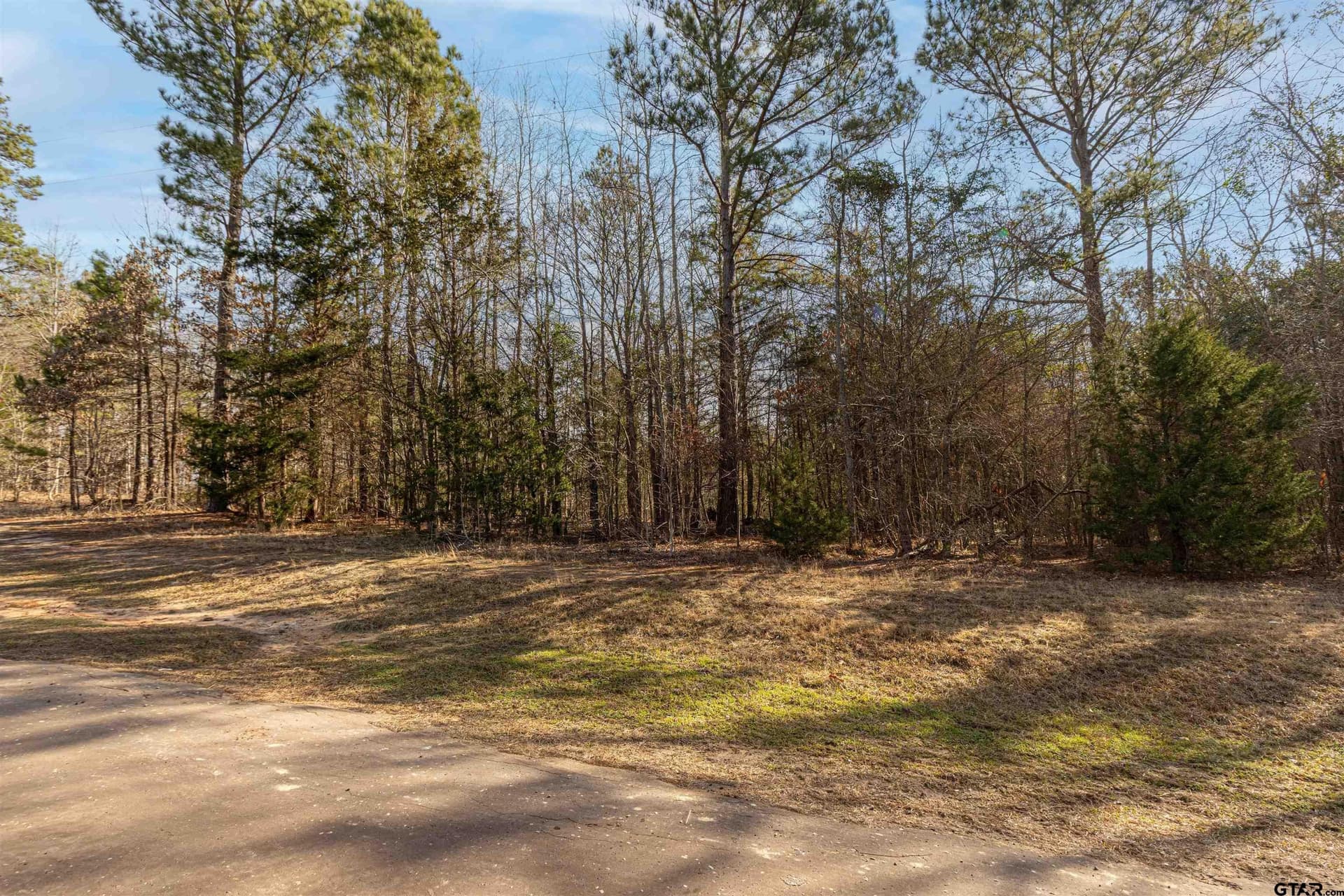18.69 acres in Smith County - photo 3