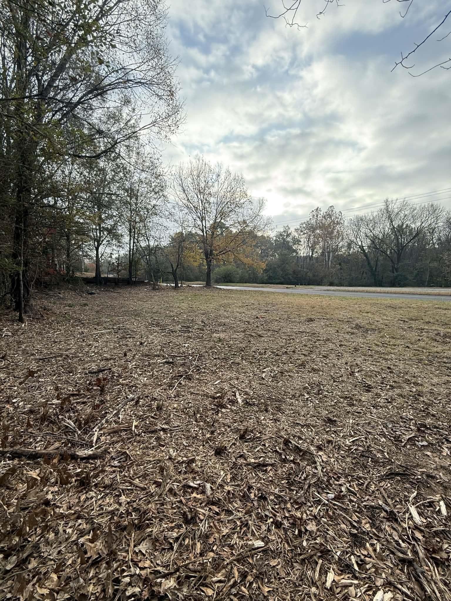 0.2 acres in Texas County - photo 2