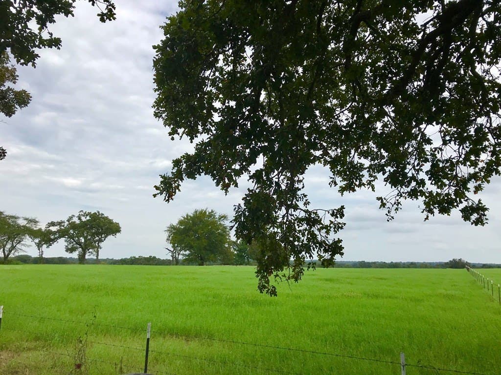 11.57 acres in Henderson County - photo 3