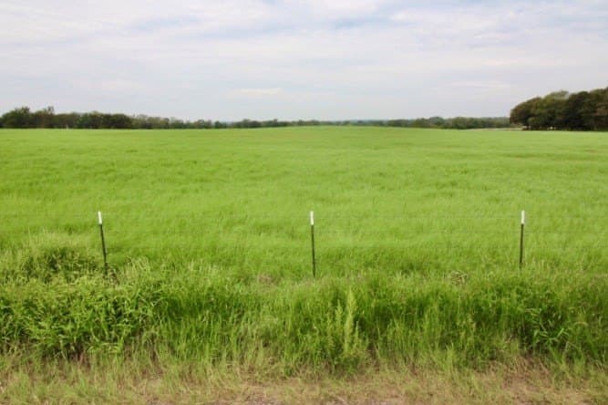 11.57 acres in Henderson County - photo 11