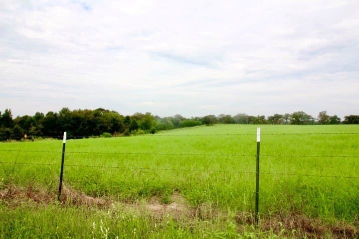 11.57 acres in Henderson County - photo 9