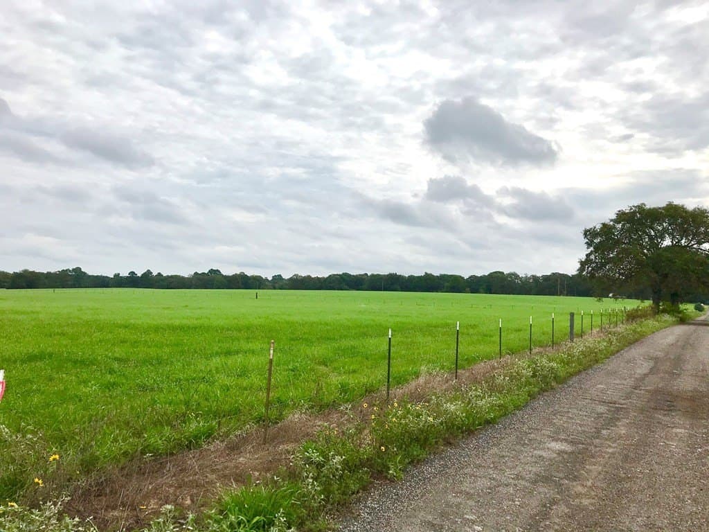 11.57 acres in Henderson County - photo 2