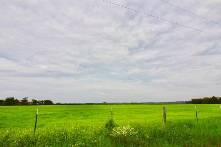 11.57 acres in Henderson County - photo 10