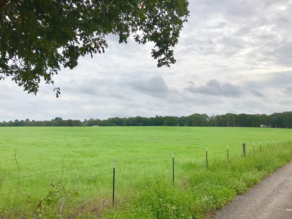11.57 acres in Henderson County - photo 4