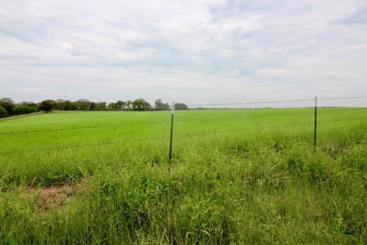 11.57 acres in Henderson County - photo 8