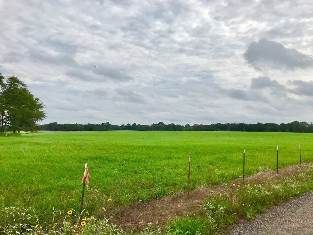 11.57 acres in Henderson County - photo 6