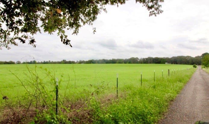11.57 acres in Henderson County - photo 14