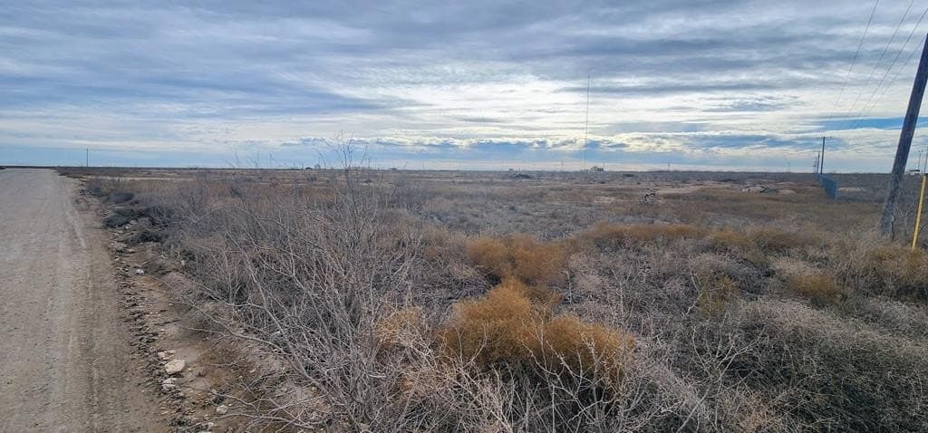 20 acres in Reagan County - photo 5