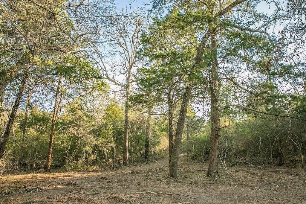3.5 acres in Austin County - photo 2