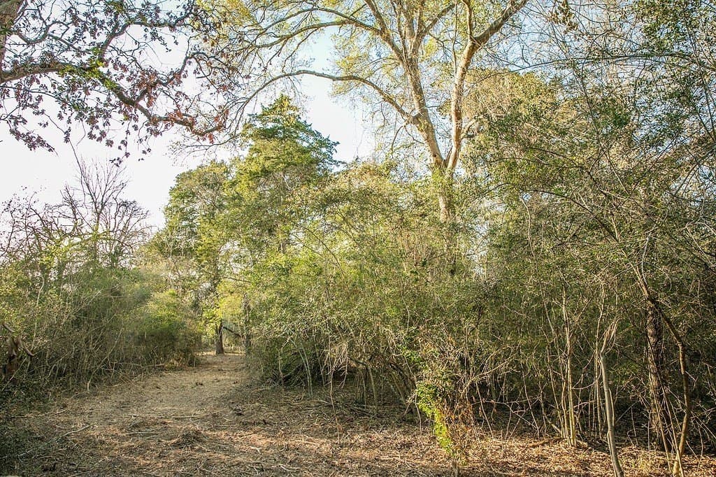 3.5 acres in Austin County - photo 4