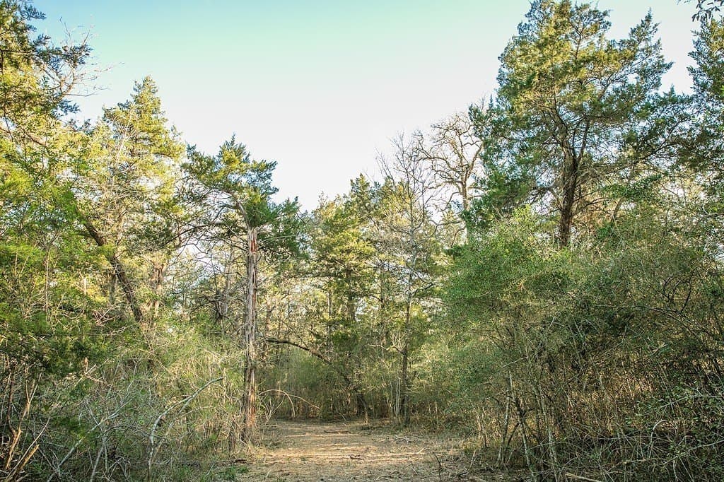 3.5 acres in Austin County - photo 3