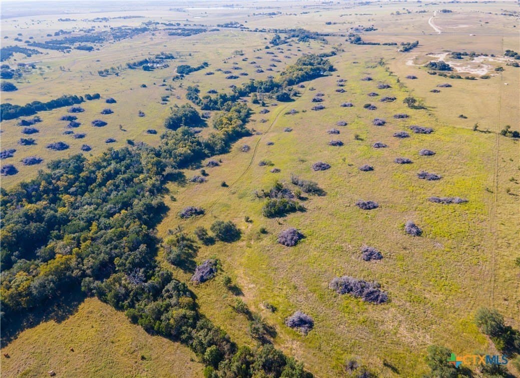 133.33 acres in Coryell County - photo 13