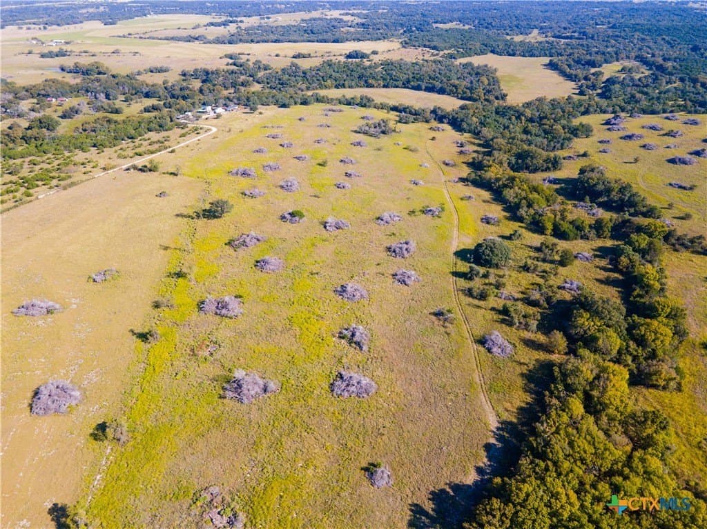 133.33 acres in Coryell County - photo 9